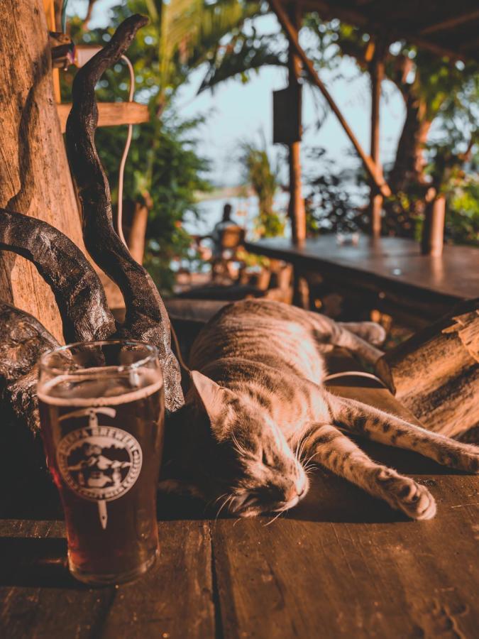 Happy Lemon Tree Lodge Sauraha Exterior foto